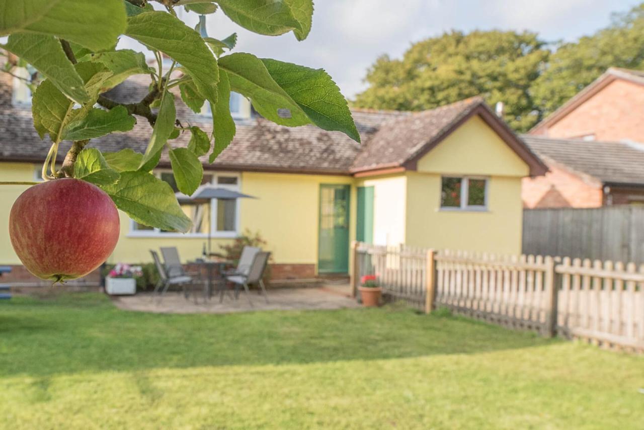 The Spinney Saxtead Nr Framlingham Woodbridge Dış mekan fotoğraf